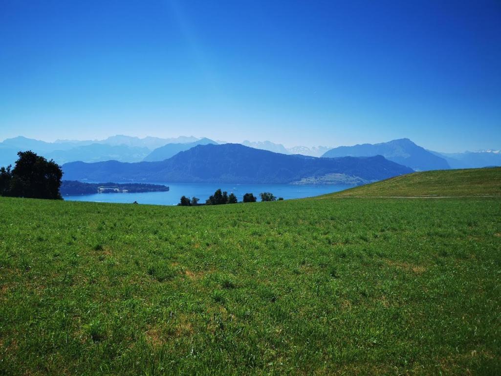 Marmottin Lägenhet Luzern Exteriör bild